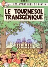 Tournesol-transgenique