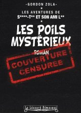 Saint-Tin-Poils-Mysterieux