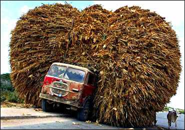 Overloaded Thatching